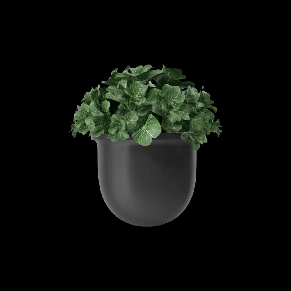 Plant Pot 1