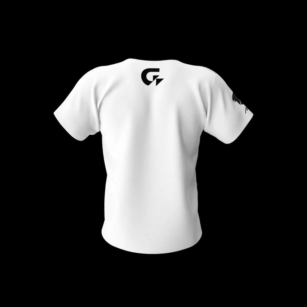 Gigabyte Aorus Men Tshirt 2